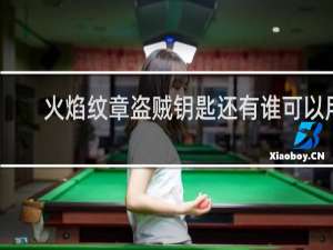 火焰纹章盗贼钥匙还有谁可以用