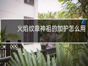 火焰纹章神祖的加护怎么用