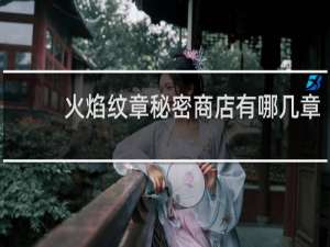 火焰纹章秘密商店有哪几章
