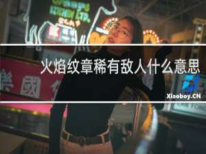 火焰纹章稀有敌人什么意思