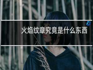 火焰纹章究竟是什么东西