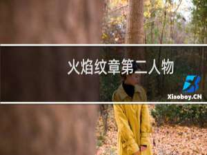 火焰纹章第二人物
