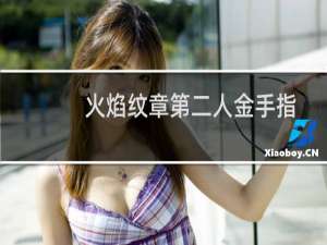 火焰纹章第二人金手指