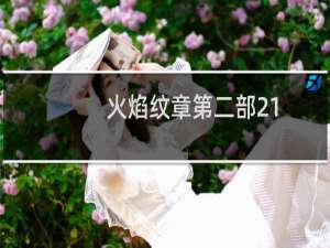 火焰纹章第二部21