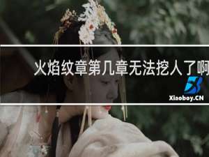 火焰纹章第几章无法挖人了啊