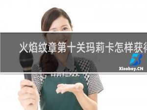 火焰纹章第十关玛莉卡怎样获得