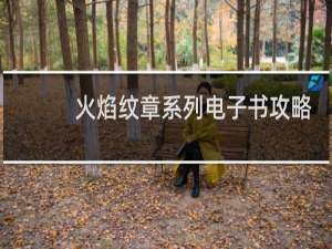 火焰纹章系列电子书攻略