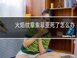 火焰纹章索菲亚死了怎么办