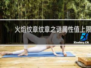 火焰纹章纹章之谜属性值上限