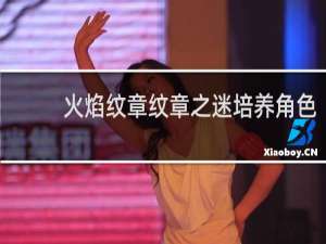 火焰纹章纹章之迷培养角色