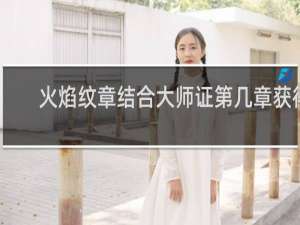 火焰纹章结合大师证第几章获得
