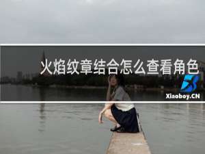 火焰纹章结合怎么查看角色