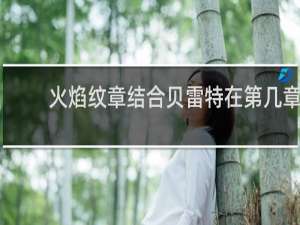 火焰纹章结合贝雷特在第几章