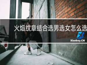 火焰纹章结合选男选女怎么选