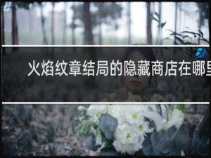 火焰纹章结局的隐藏商店在哪里
