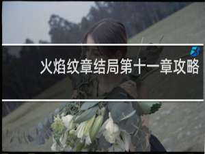 火焰纹章结局第十一章攻略