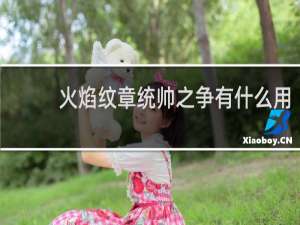 火焰纹章统帅之争有什么用