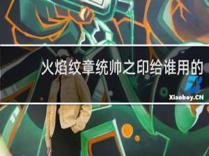 火焰纹章统帅之印给谁用的
