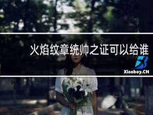 火焰纹章统帅之证可以给谁