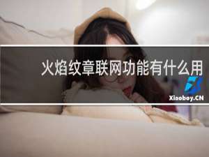 火焰纹章联网功能有什么用