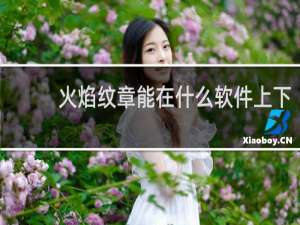 火焰纹章能在什么软件上下