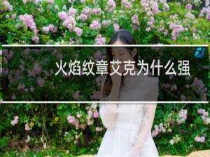 火焰纹章艾克为什么强