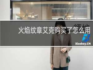 火焰纹章艾克购买了怎么用