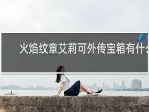 火焰纹章艾莉可外传宝箱有什么