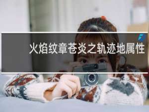 火焰纹章苍炎之轨迹地属性