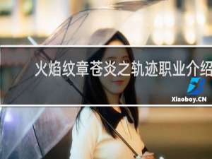 火焰纹章苍炎之轨迹职业介绍