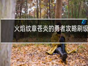 火焰纹章苍炎的勇者攻略刷级