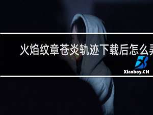 火焰纹章苍炎轨迹下载后怎么弄