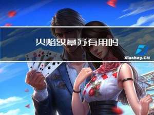 火焰纹章苏有用吗