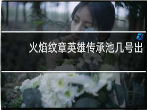 火焰纹章英雄传承池几号出