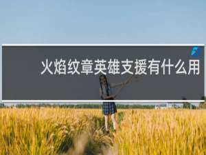火焰纹章英雄支援有什么用