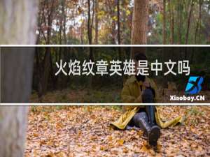 火焰纹章英雄是中文吗