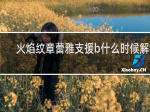 火焰纹章蕾雅支援b什么时候解锁