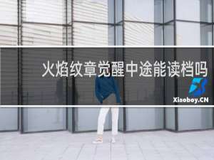 火焰纹章觉醒中途能读档吗