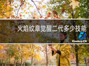 火焰纹章觉醒二代多少技能
