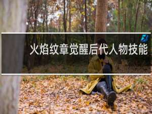 火焰纹章觉醒后代人物技能