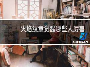 火焰纹章觉醒哪些人厉害