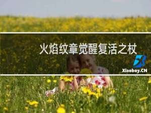 火焰纹章觉醒复活之杖