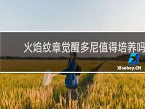 火焰纹章觉醒多尼值得培养吗