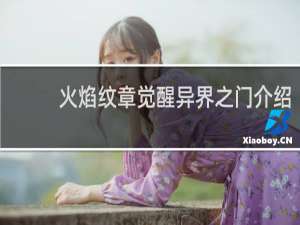 火焰纹章觉醒异界之门介绍
