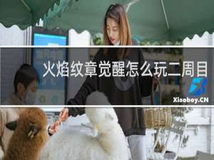 火焰纹章觉醒怎么玩二周目