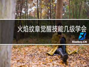 火焰纹章觉醒技能几级学会