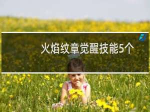 火焰纹章觉醒技能5个