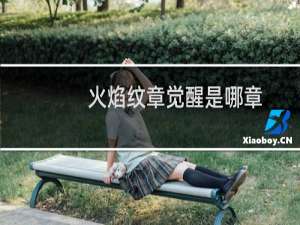 火焰纹章觉醒是哪章
