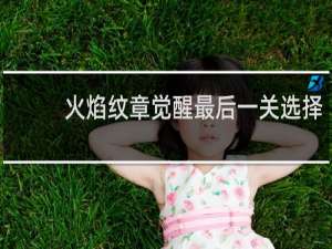 火焰纹章觉醒最后一关选择