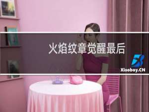 火焰纹章觉醒最后